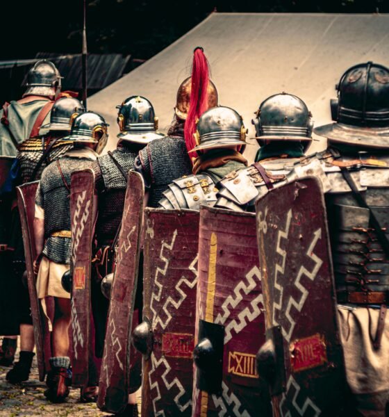 age of reforging: the freelands wiki