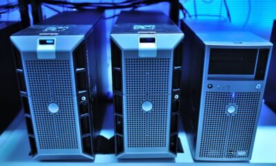 Apex Hosting Minecraft Server Missing Mods